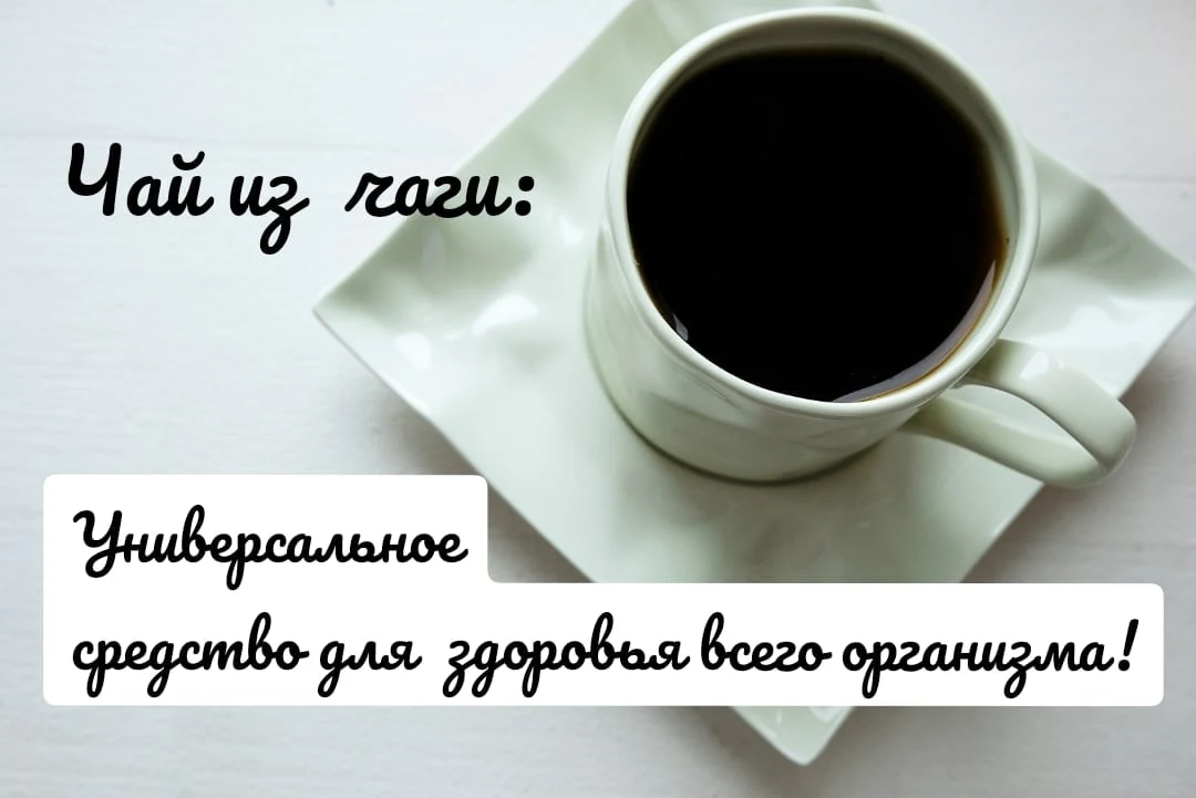 ЧАГА - УНИКАЛЬНА И УДИВИТЕЛЬНА!