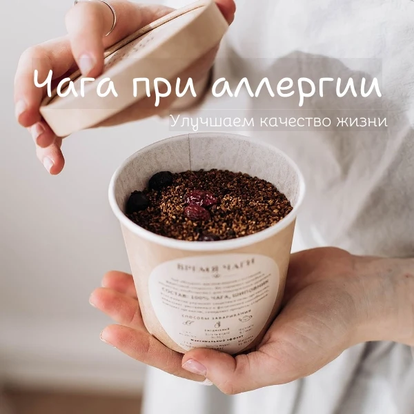 ЧАГА ПРИ АЛЛЕРГИИ