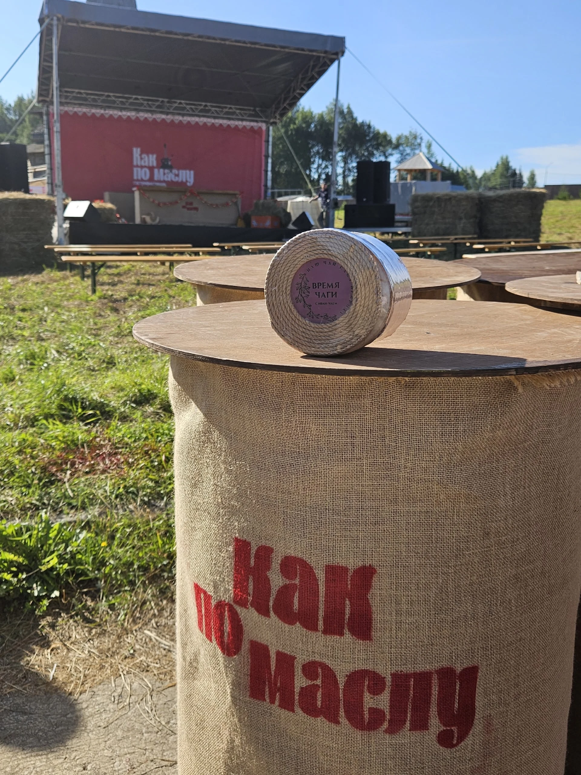 Друзья, мы начинаем! 🌿☕️