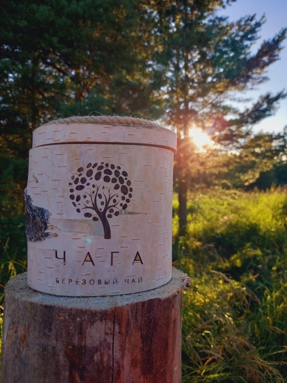 Наедине с природой ✨