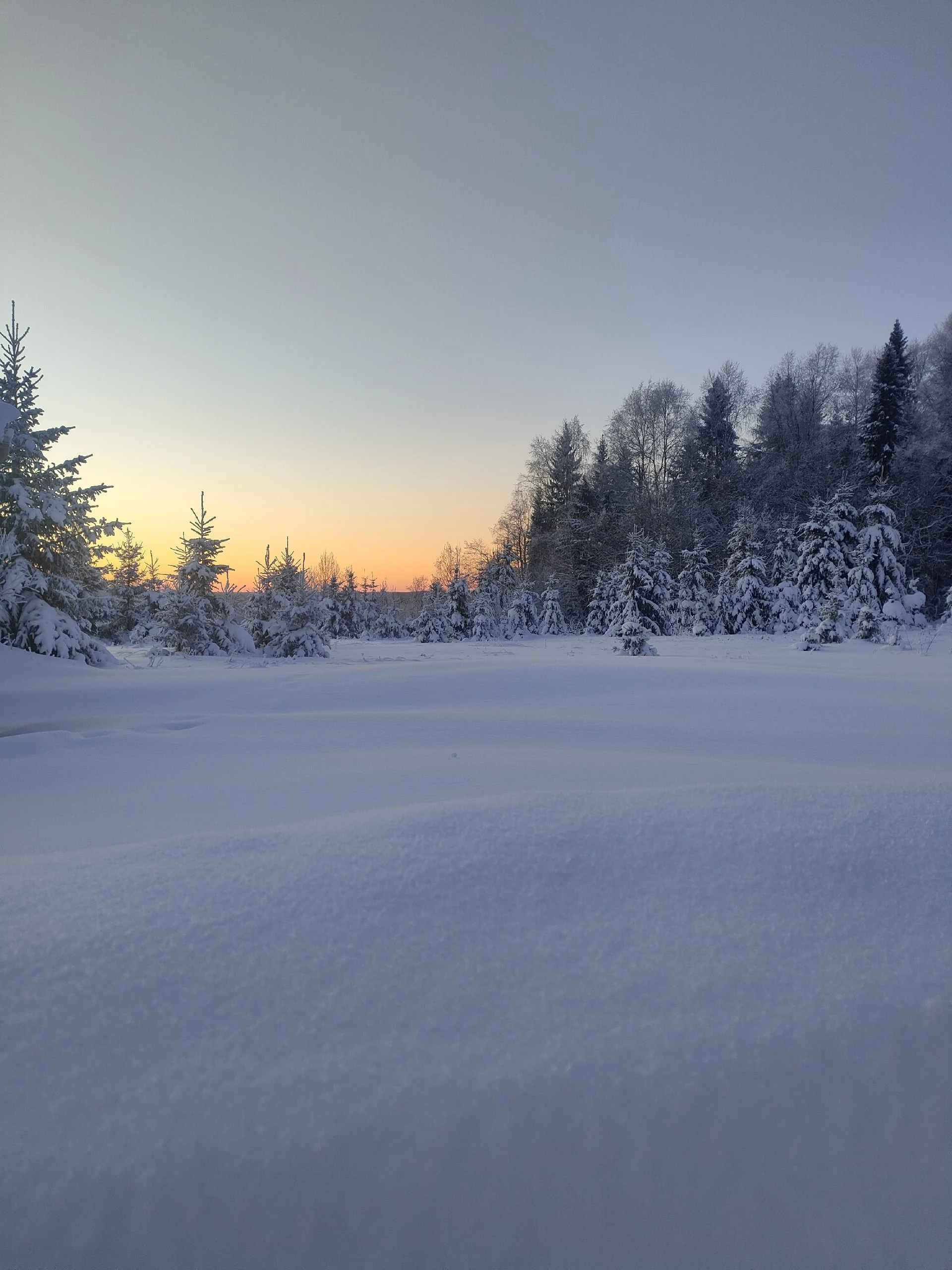 Наслаждаемся каждым днём нового года ☺⛄🌨