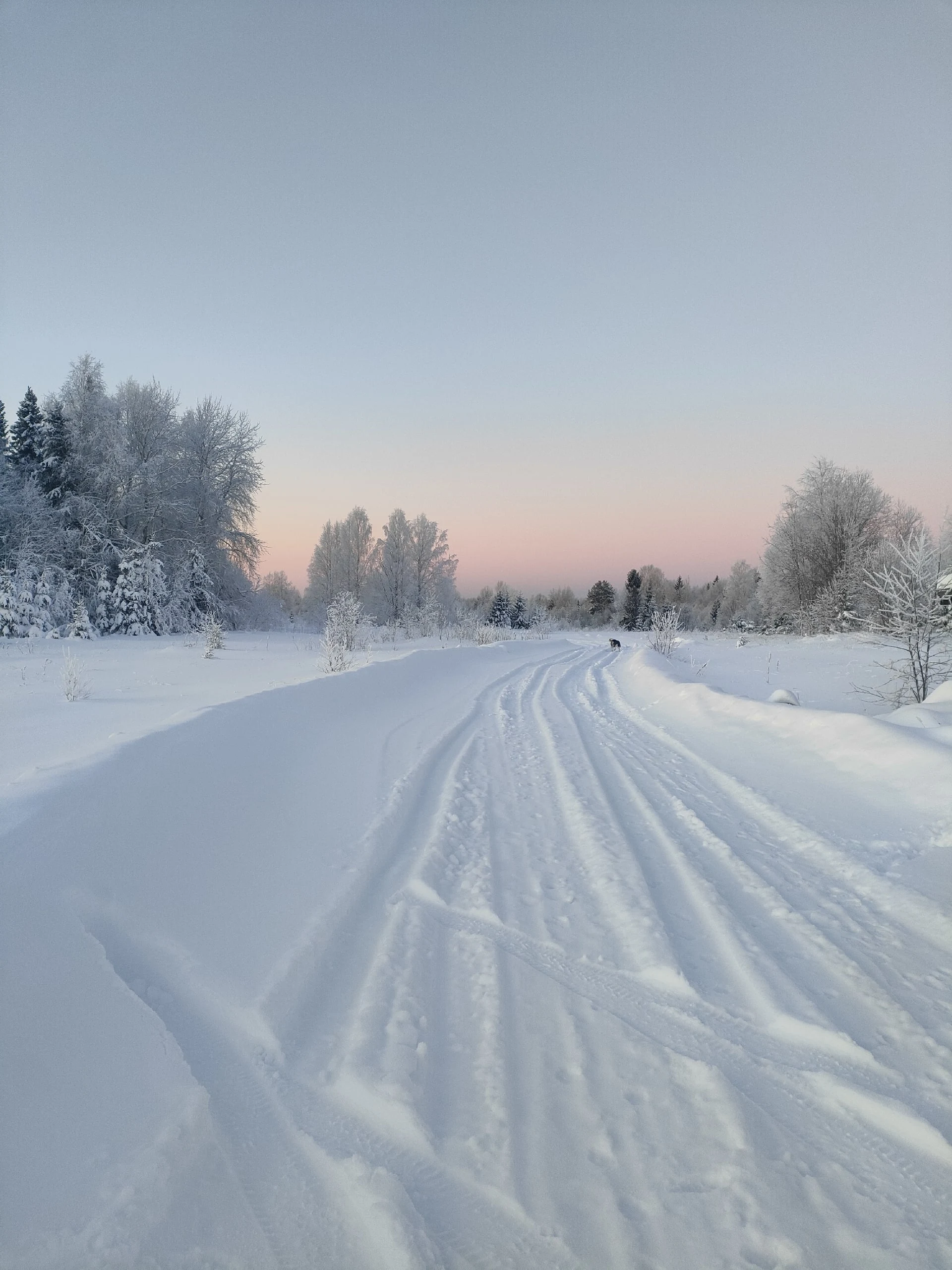 Наслаждаемся каждым днём нового года ☺⛄🌨
