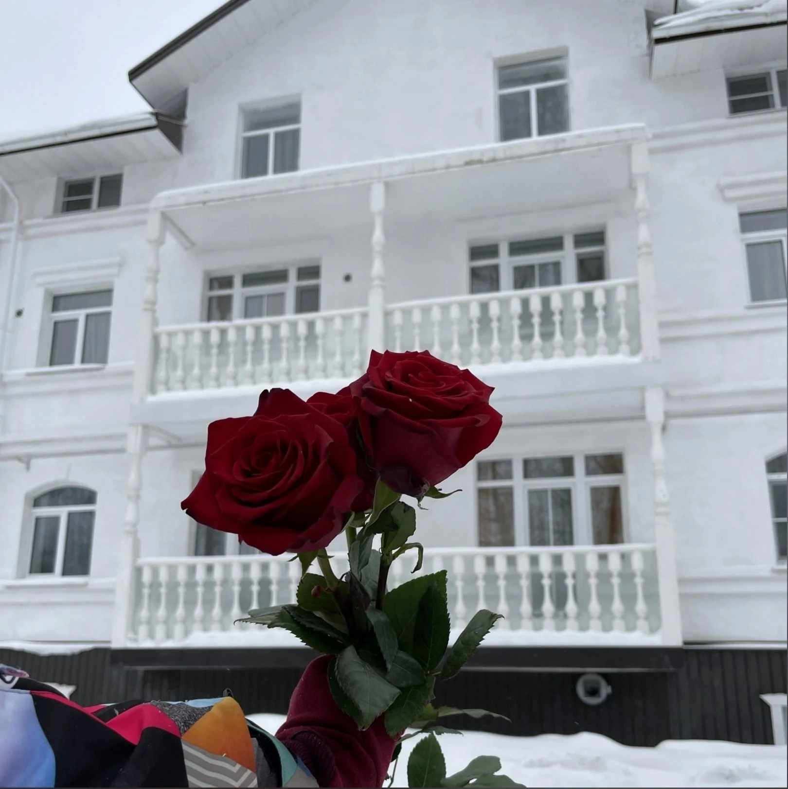Важная информация для тех, кто хочет посетить наш прекрасный город Вологда или просто отдохнуть в красивом месте!!!🔥
